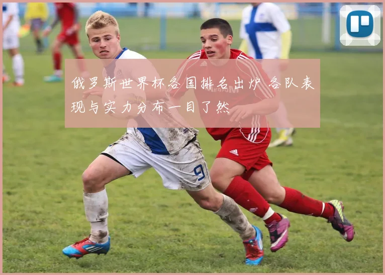 俄罗斯世界杯各国排名出炉 各队表现与实力分布一目了然