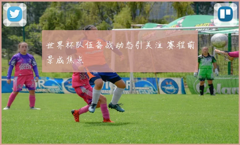 世界杯队伍备战动态引关注 赛程前景成焦点