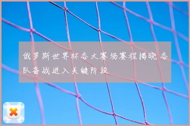 俄罗斯世界杯各大赛场赛程揭晓 各队备战进入关键阶段