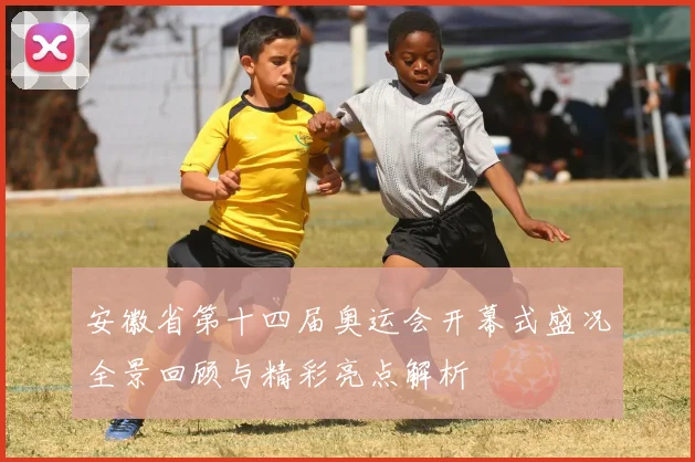 安徽省第十四届奥运会开幕式盛况全景回顾与精彩亮点解析