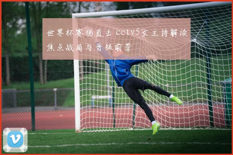 世界杯赛场直击 cctv5女主持解读焦点战局与晋级前景