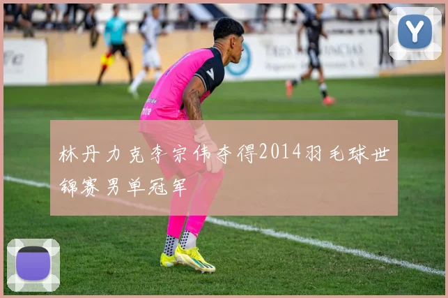 林丹力克李宗伟夺得2014羽毛球世锦赛男单冠军