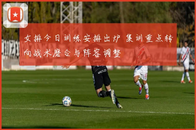 女排今日训练安排出炉 集训重点转向战术磨合与阵容调整