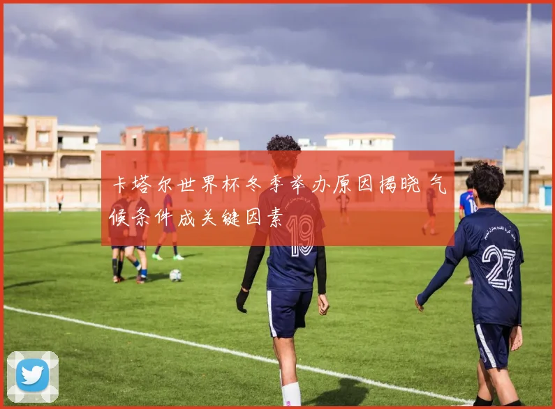 卡塔尔世界杯冬季举办原因揭晓 气候条件成关键因素