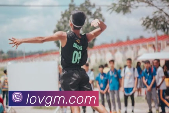 新爱体育直播APP 封面图